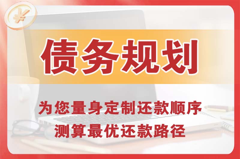 新津债务规划